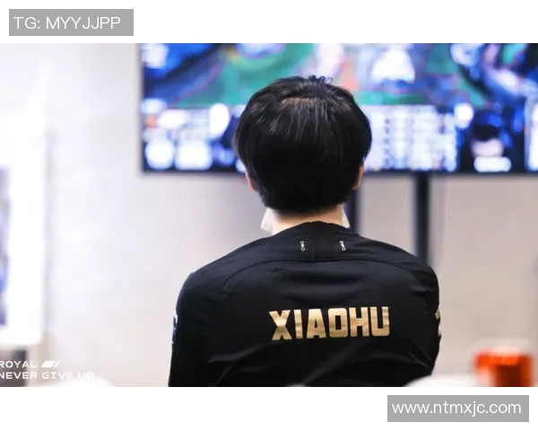 深入探讨RNG战队近期状态表现与数据分析的关系