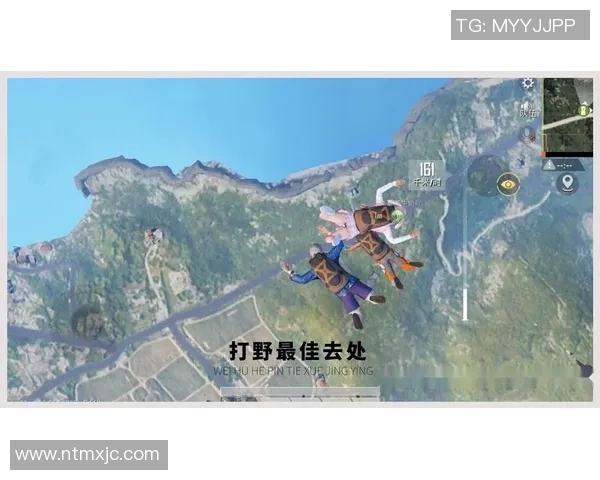 s15电竞和平精英中WE战术引发热议的背后原因与影响分析