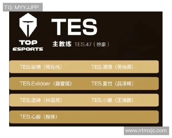 王者荣耀S15赛季TES战队表现分析及其转会得失的深度解读